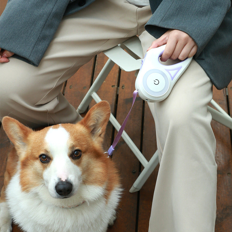 Glowing Retractable Leash